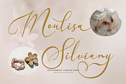 Velocity Romantica Calligraphy Font, a Script Font by Denustudios (Thumbnail 3 of 12)