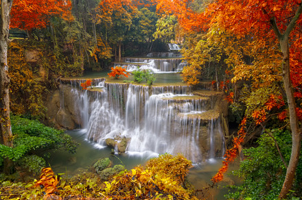 Waterfall in colorful autumn forest featuring thailand, kanchanaburi, and tree