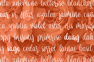 De Floras Family - 5 Fonts