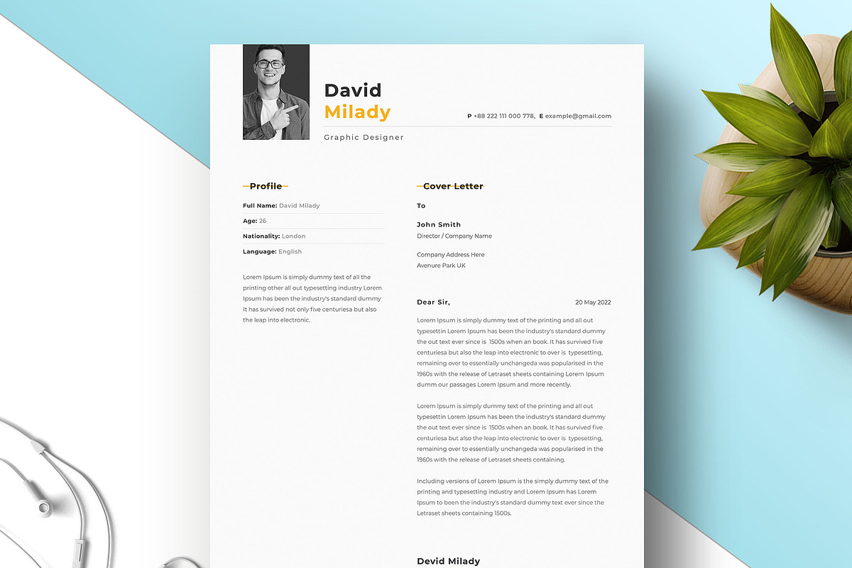 Professional Resume Template, a Resume Template by PicoartBd (Photo 2 of 4)