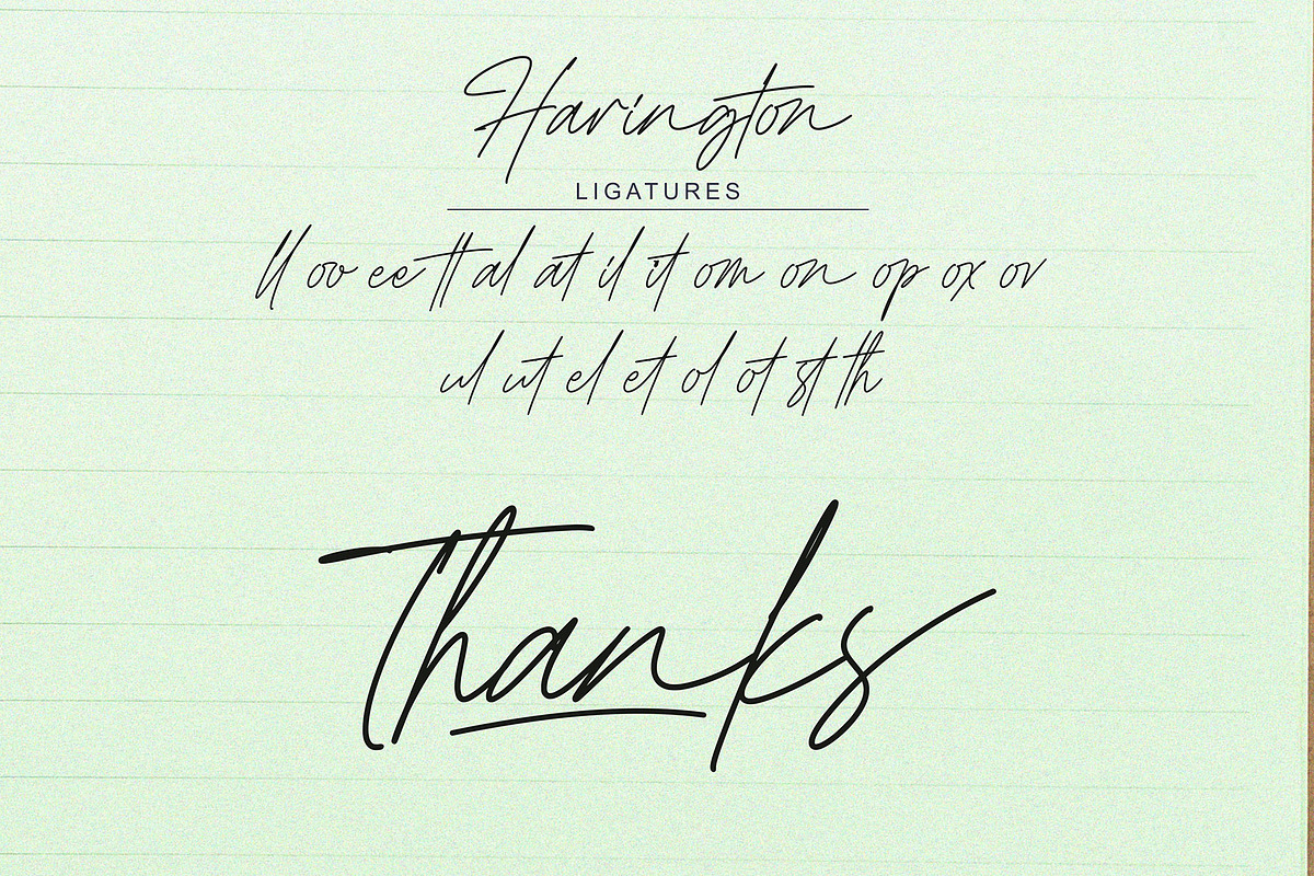 Harington Signature, a Script Font by Omotu Studio (Photo 12 of 12)