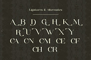 Molky Wolky – Elegant Display Serif, a Serif Font by Muflieart (Thumbnail 12 of 13)