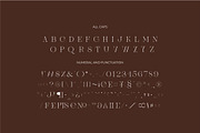 Brisca Miera - Chic Ligature Font, a Serif Font by suhadidesign (Thumbnail 11 of 13)
