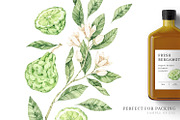 Organic LAB. Watercolor kit, a Decorative Illustration by Kate Macate (Thumbnail 8 of 9)