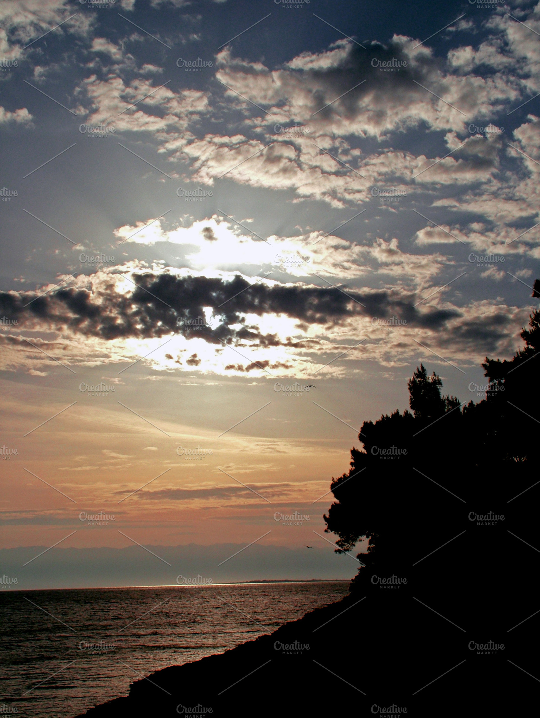 Sunset Containing Nature Green And Background