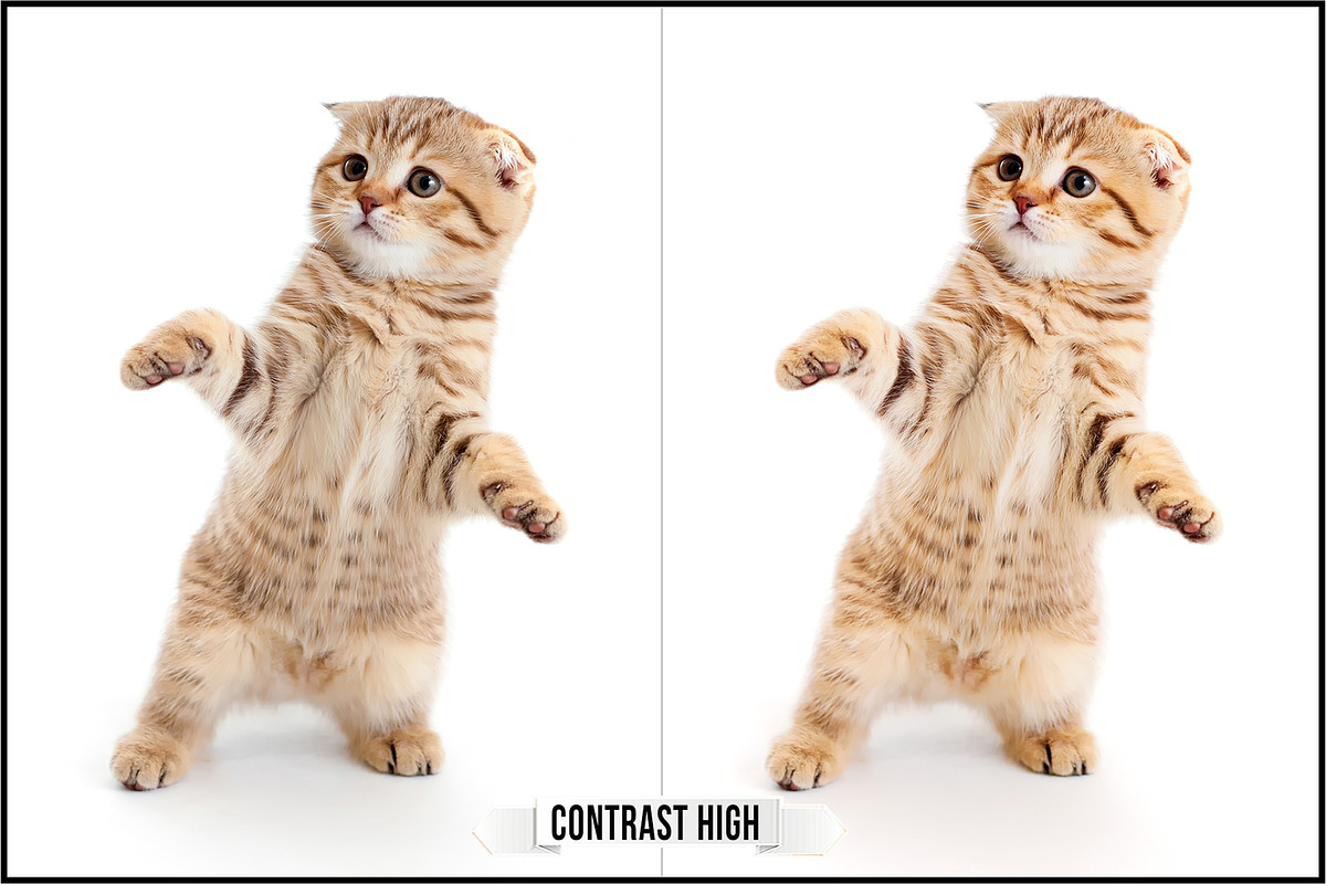 Ricoh Image Controls & Creative Mode, a Plug-in Add-On by Raztrend (Photo 29 of 31)