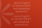 Westbourne - Modern Serif Typeface, a Serif Font by Typetemp Studio (Thumbnail 17 of 17)