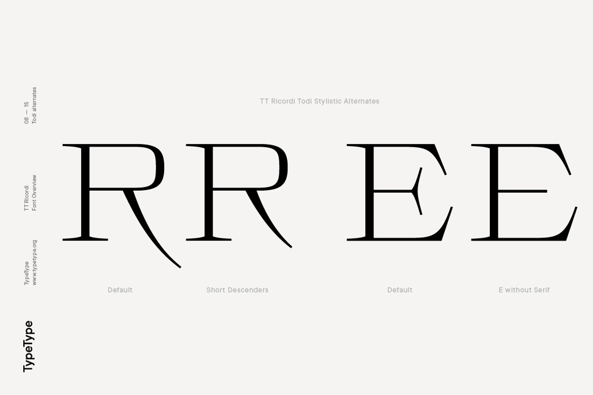 TT Ricordi, a Serif Font by TypeType (Photo 8 of 15)