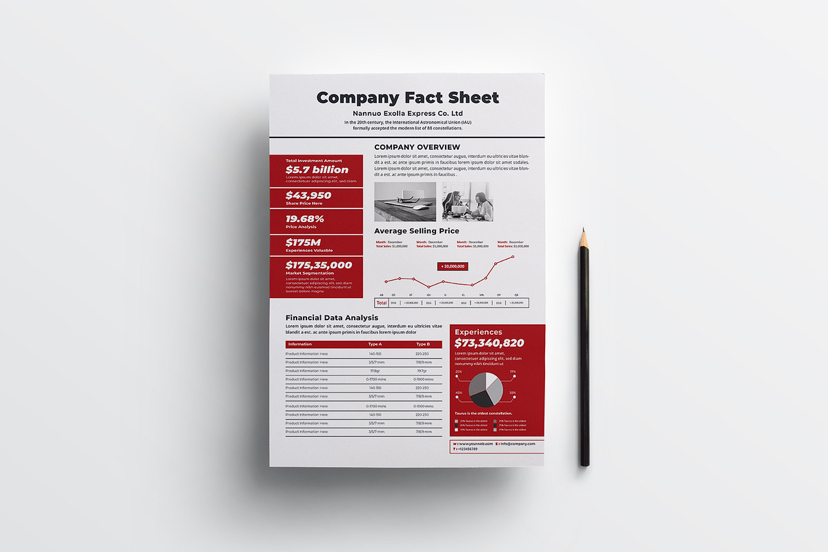 Company Fact Sheet | Word & Indesign, a Flyer Template by obayes (Photo 2 of 4)