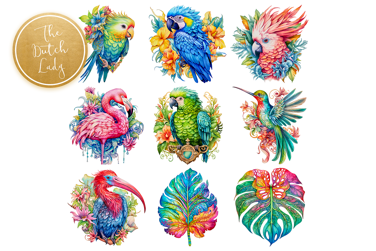 Tropical Jungle Birds Clipart Set, an Animal Illustration by The Dutch Lady Designs (Photo 5 of 7)