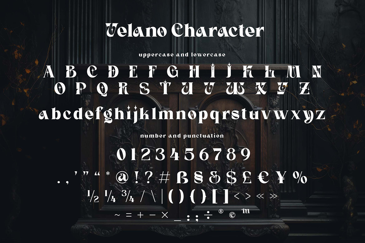 Velano a Serif Gothic Font, a Serif Font by Honestype (Photo 4 of 12)