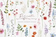 Watercolor Flower - Delicate Wild, a Decorative Illustration by Beigetime (Thumbnail 1 of 16)