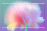 Blurred Floral Ethereal Backgrounds, a Background Graphic by Anzhelika (Thumbnail 7 of 9)