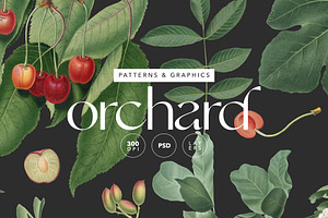 Botanical Garden Fruits and Florals, an Illustration by likorbut