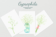 Watercolor Gypsophila Baby's Breath, an Illustration by Corner Croft (Thumbnail 5 of 7)