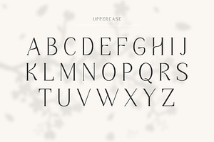 Kingstone A Stylish Serif Font