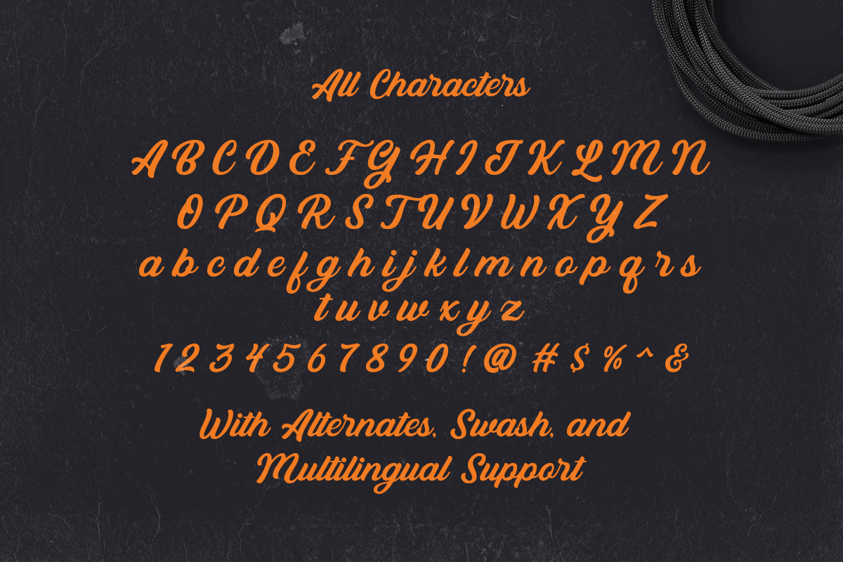 Bandira Script Typeface, a Script Font by Rillatype (Photo 9 of 9)