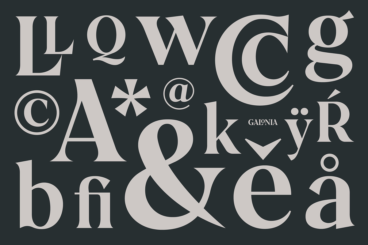 Galonia Type, a Serif Font by Dopestype (Photo 6 of 13)