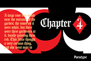 Carol Gothic, a Blackletter Font by Paratype (Thumbnail 3 of 8)