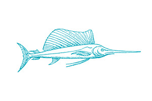 Vector Swordfish Pen Illustration