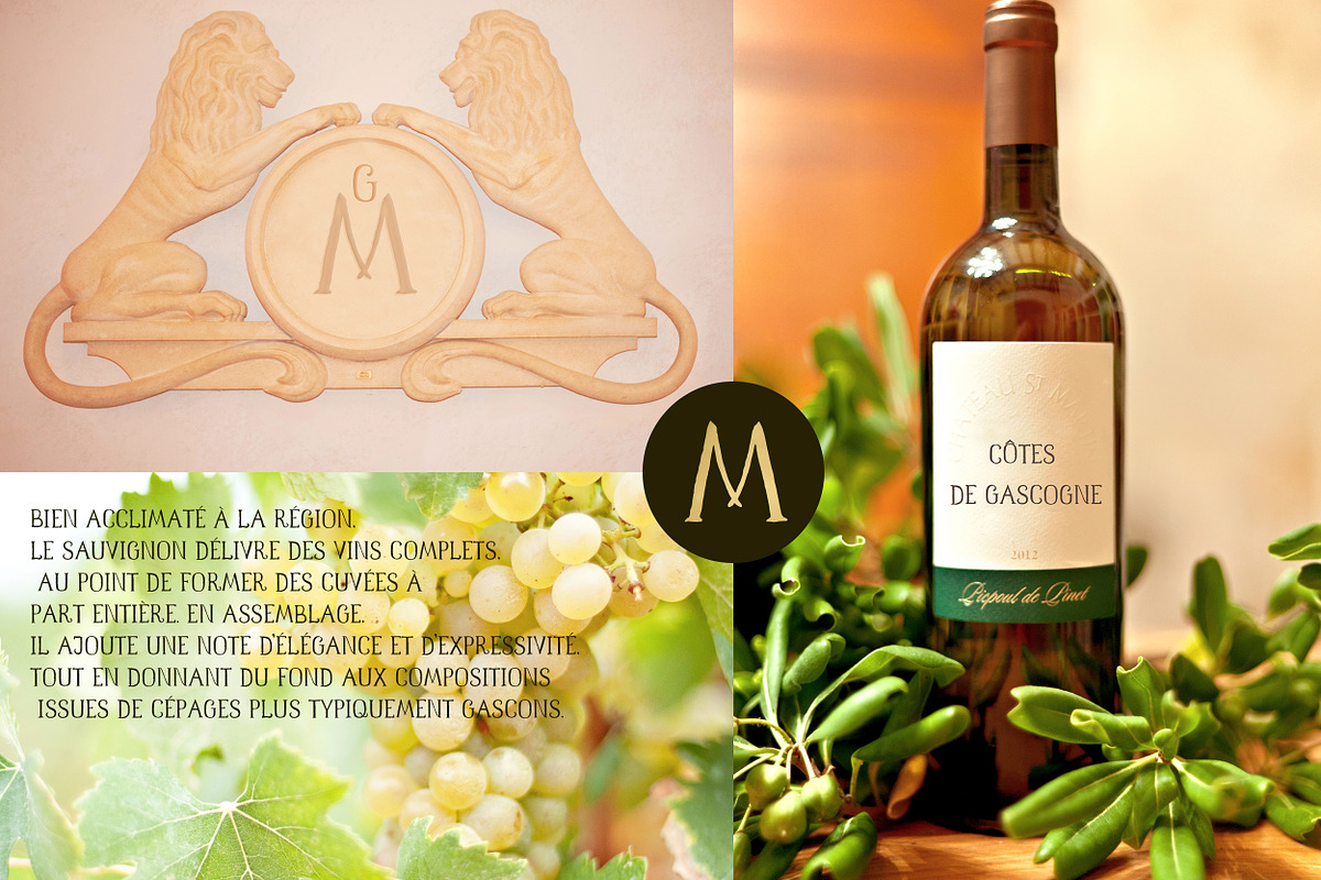 Monogramer. Hand-Drawn Serif Font, a Serif Font by LABFcreations (Photo 8 of 13)
