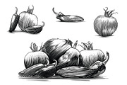 Salsa Vegetables, a Food Illustration by blue67sign (Thumbnail 1 of 5)