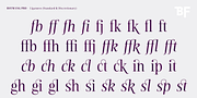 BF Rotwang Pro, a Serif Font by BrassFonts (Thumbnail 14 of 15)