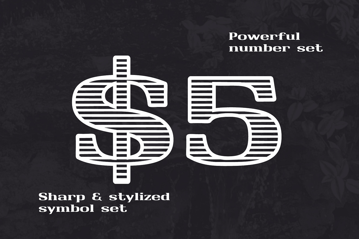 Monarch North Line Serif Font preview 6