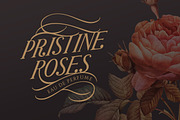 Portalica - Elegant Serif Font, a Serif Font by Letterhend Studio (Thumbnail 5 of 7)