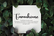 Hibis | Script Font, a Script Font by Scratchones (Thumbnail 7 of 8)