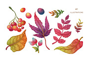 Autumn Forest, Fall Collection, an Object Illustration by Olga Olmix (Thumbnail 2 of 4)