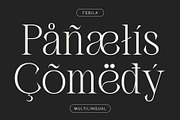 Febila - Elegant Serif Font, a Serif Font by Craft Supply Co. (Thumbnail 3 of 8)