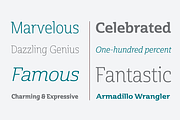 Cabrito Semi, a Serif Font by insigne (Thumbnail 4 of 5)