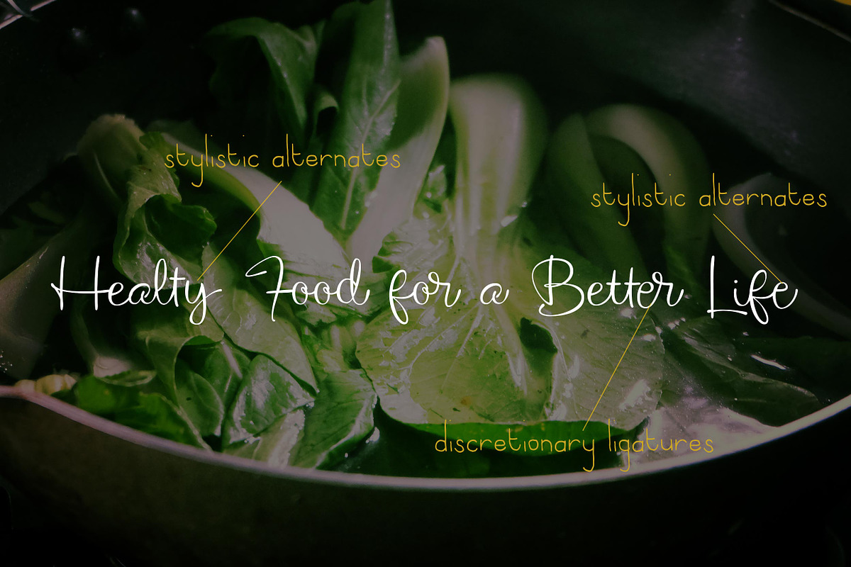 The Willyst, a Script Font by greatypes studio (Photo 2 of 14)