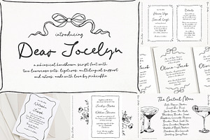 Whimsical Script Font Bundle