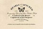 Quiet Story OrganicScript & Serif, a Script Font by Letterhend Studio (Thumbnail 8 of 10)