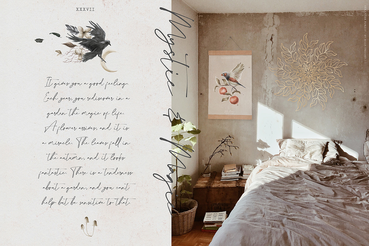 Stranger Forest Collection, an Animal Illustration by Julia Dreams (Photo 2 of 12)