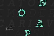 Noirda Slab Serif, a Slab Serif Font by Hanaksara Studio (Thumbnail 2 of 11)