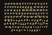 Vintage Classic - Bold Script Font, a Script Font by Myn Type (Thumbnail 10 of 10)