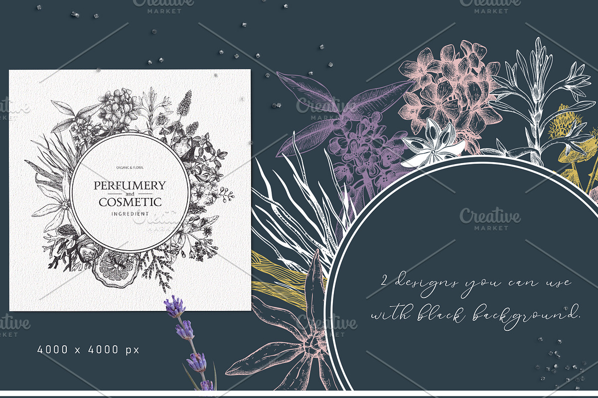 Aromatic Plants & Flowers Vector Set, a Healthcare Illustration by Yevheniia (Photo 5 of 9)