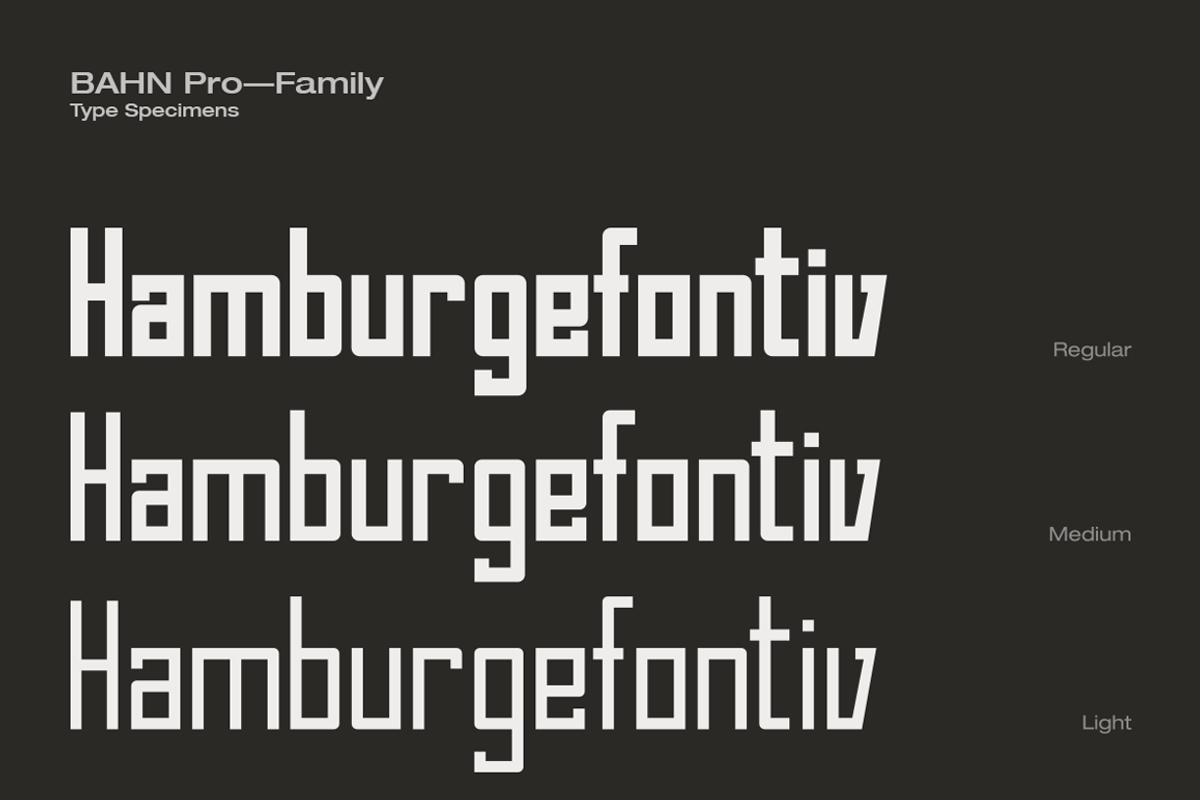 Bahn Pro FAMILY preview 2