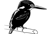 Bird Silhouettes Flying Sideways, an Animal Illustration by Designer_Momina (Thumbnail 14 of 21)