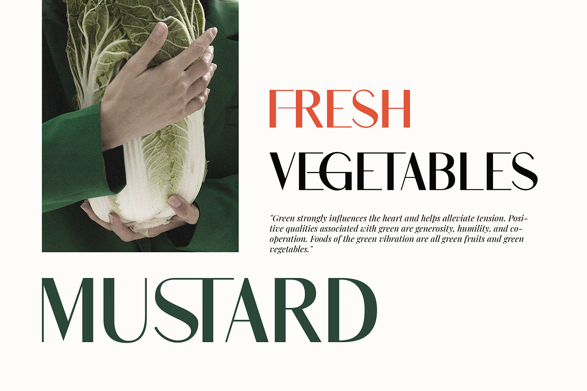 Shaqera Ligature Sans-Serif, a Sans Serif Font by Font Kingdom (Photo 3 of 4)