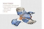 Watercolor Birds Clipart Collection, an Illustration by MockupWizard (Thumbnail 4 of 5)