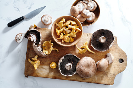 Cooking with various mushrooms, a Food & Drink Photo by Asya Nurullina