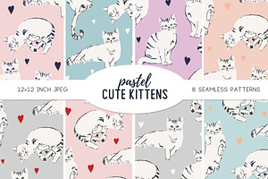 Cute Cat Pattern - Pretty House Cat