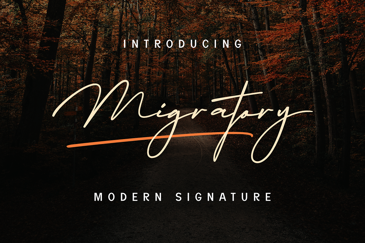 Migratory, a Font by Dumadistyle (Photo 2 of 11)