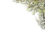 Winter styled stock photo containing winter flat lay, winter stock photo, and, a Holiday Photo by SLS Design Co. (Thumbnail 2 of 2)