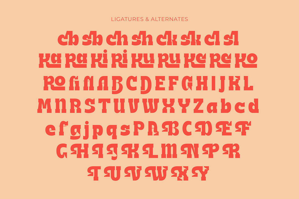Naska Rumbe Bold Display Font, a Serif Font by timelesstype.co (Photo 18 of 20)