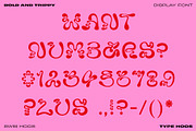 Swib Hoos - Display Font, a Handwritten Font by Type Hoos (Thumbnail 7 of 8)